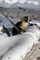 Winter 2026