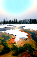 Winter 2012