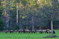 Gaylord Area