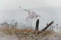 Brest Bay Photo Home