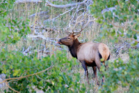 Rocky Mountain National Park